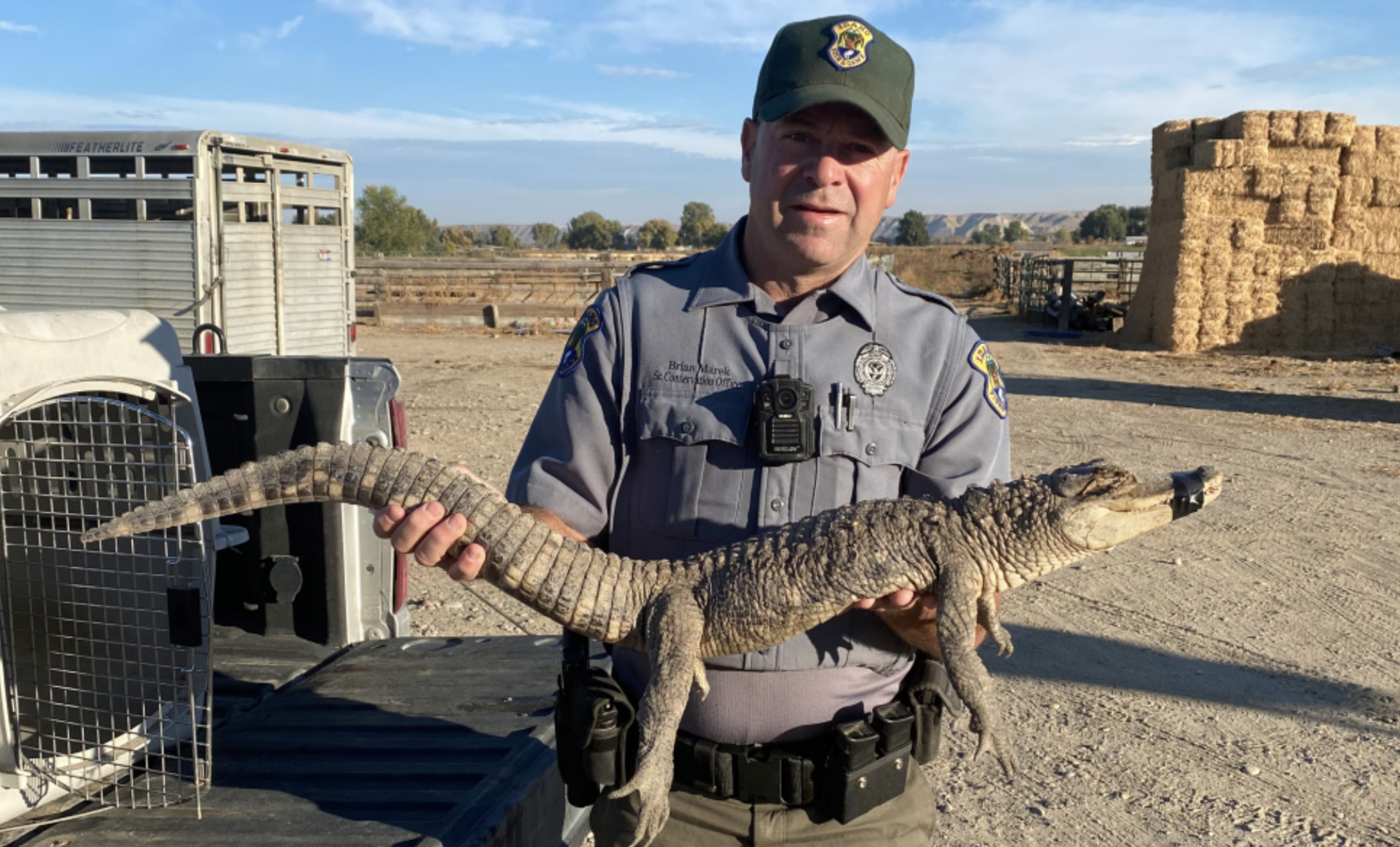 Fake Gator Id